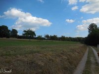 WWW Wanderung Calw-30